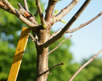 DSC01853.jpg