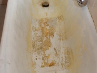 dsc06472.jpg