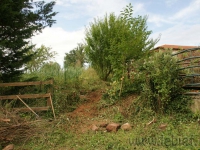 dsc06515.jpg