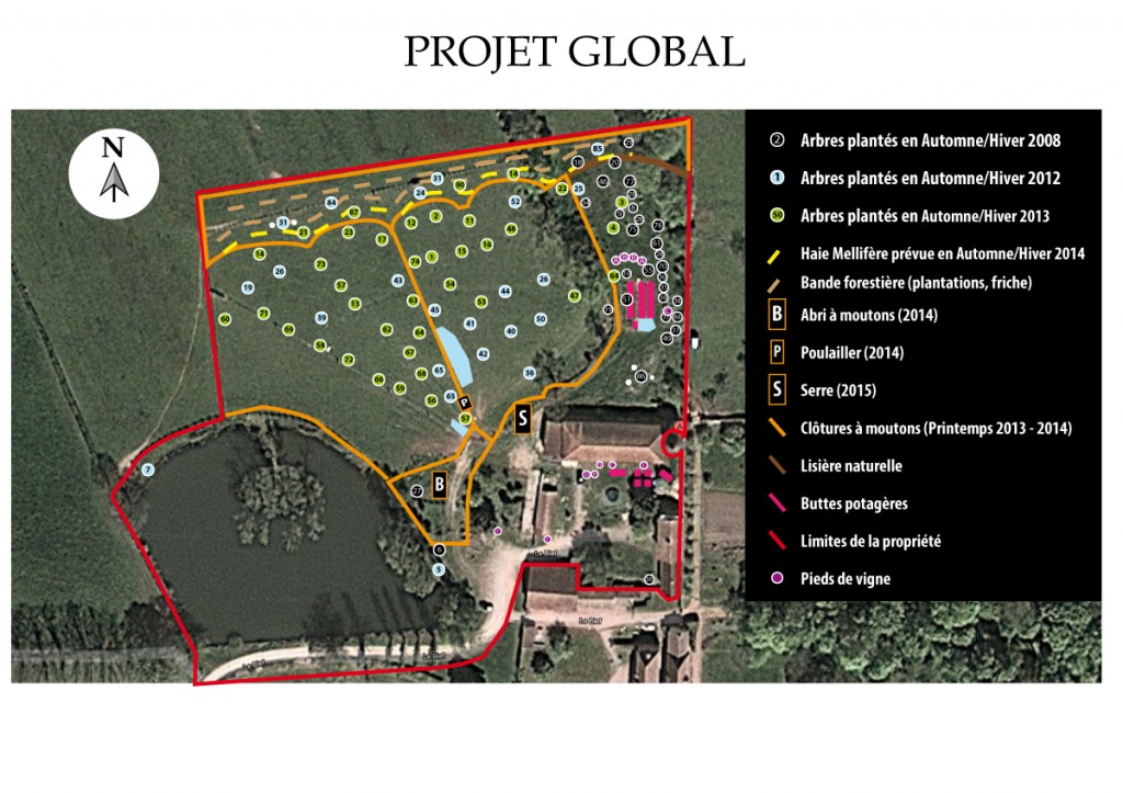 Un projet mélangeant des soupçons d'agroforesterie, de vergers conservatoires, de cultures sur buttes, de moutons et de laine, de volailles et de basse-cour, de tests étranges, un brin de permaculture, et bientôt, c'est sûr, la bio-dynamie devrait bientôt venir recouvrir le tout d'une belle couche de bouse de corne et de silice ! :o) Le tout avec une électricité 100% SuperGreen et 0% nucléaire, merci Enercoop !