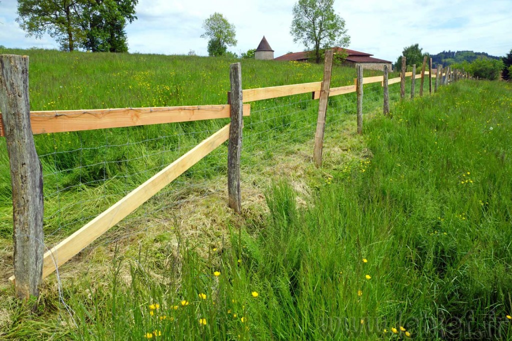 Par delà la prairie et l'infini !